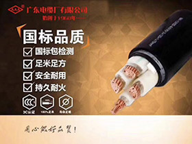 輻照交聯(lián)聚乙烯絕緣電力電纜系列YJV，YJV22，YJ(F)E，YJ(F)E22，F(xiàn)YJV，F(xiàn)YJV22